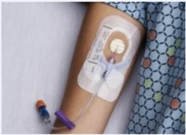 Patient Safety & Safe Handling Training for Nurses