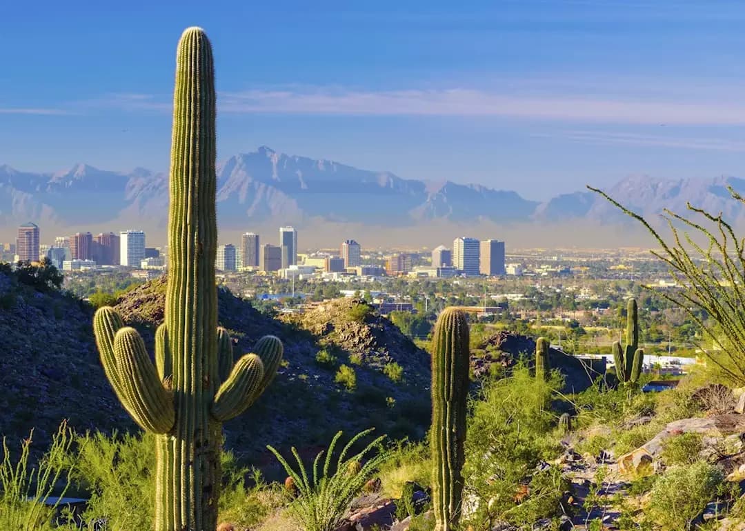 Arizona nursing license renewal requirements guide