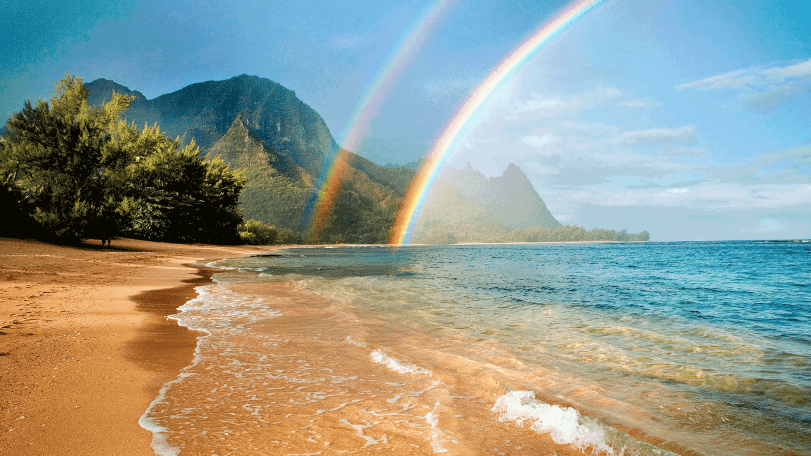 Hawaii nursing license renewal requirements guide