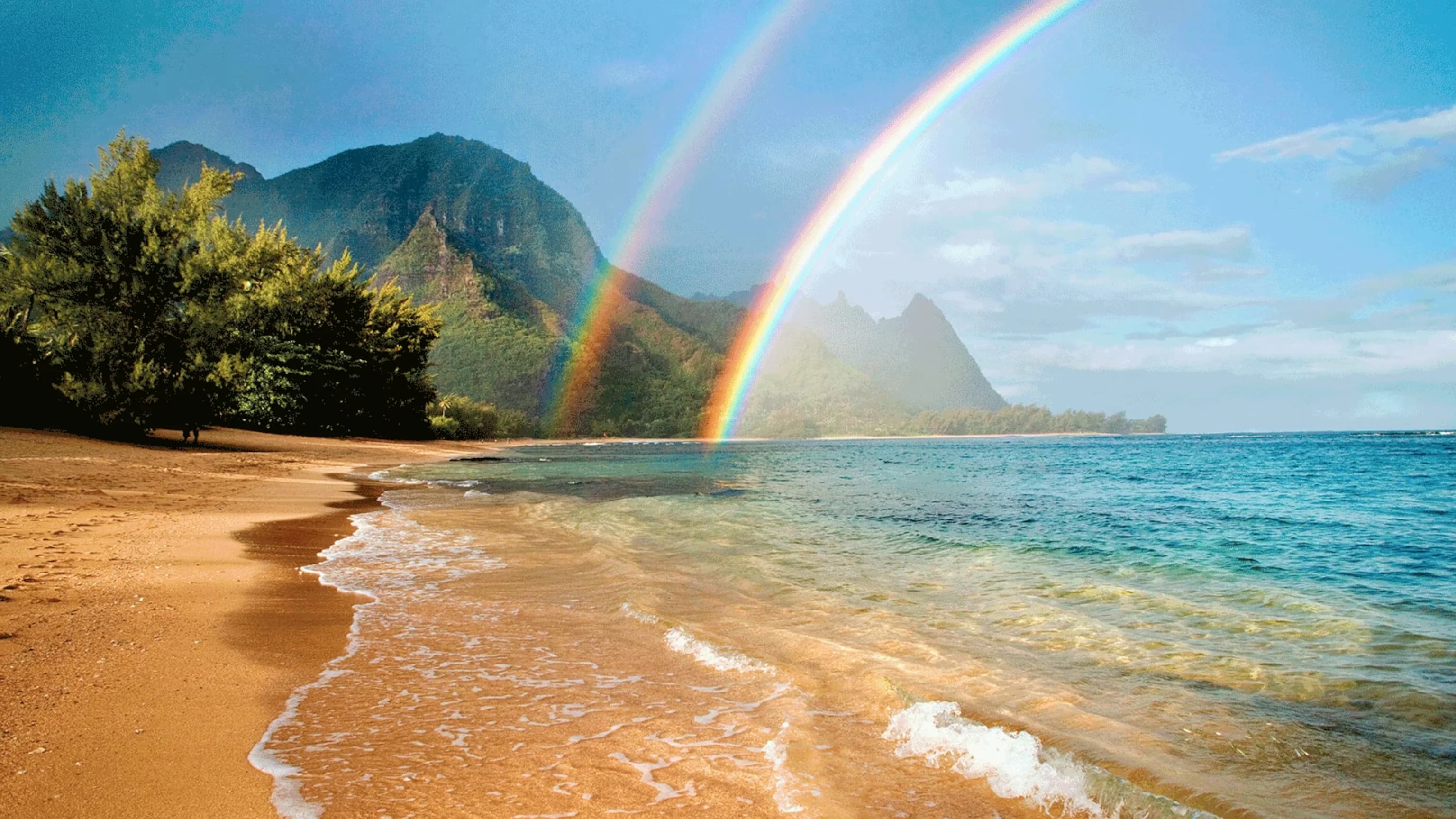 Hawaii nursing license renewal requirements guide