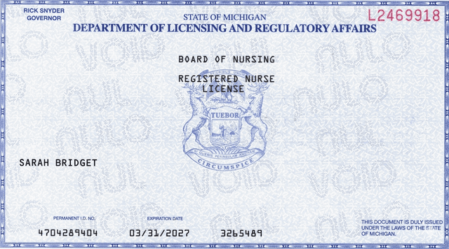 Michigan nursing license card example