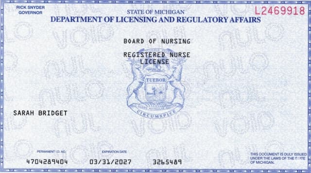 Michigan nursing license card example