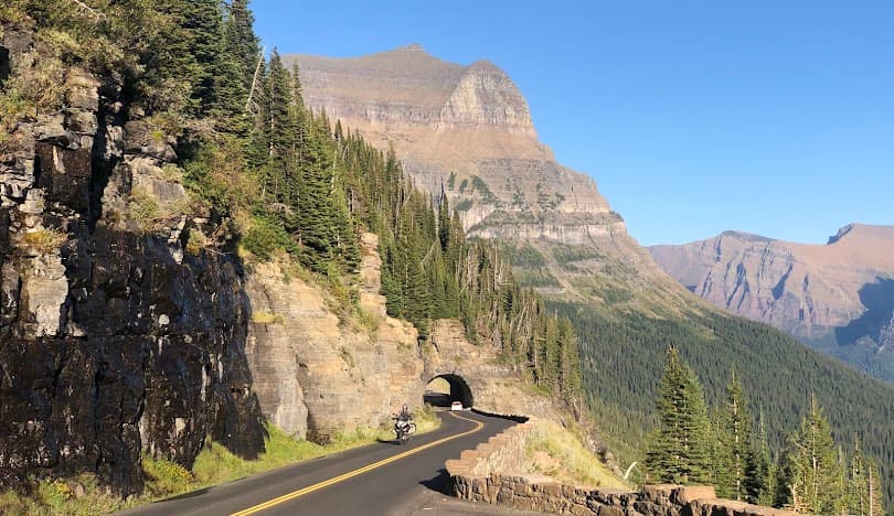 Montana nursing license renewal requirements guide
