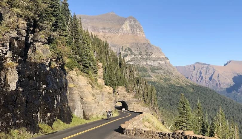 Montana nursing license renewal requirements guide