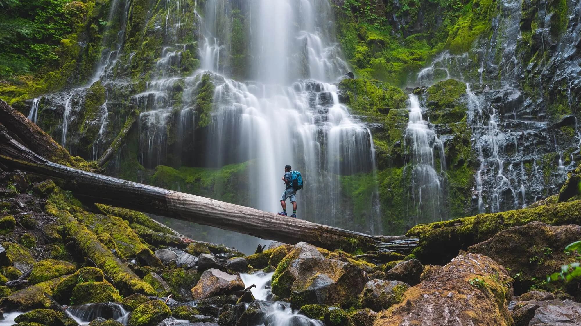 Oregon nursing license renewal requirements guide