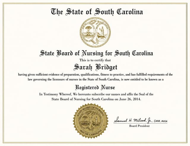 South Carolina nursing license card example