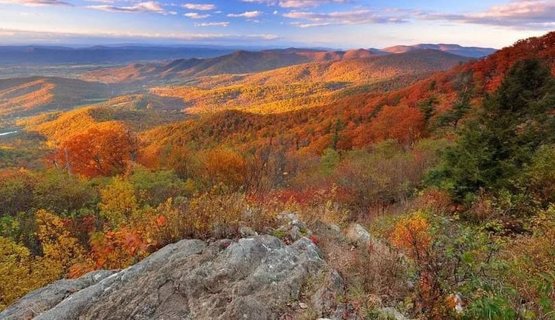 Virginia nursing license renewal requirements guide