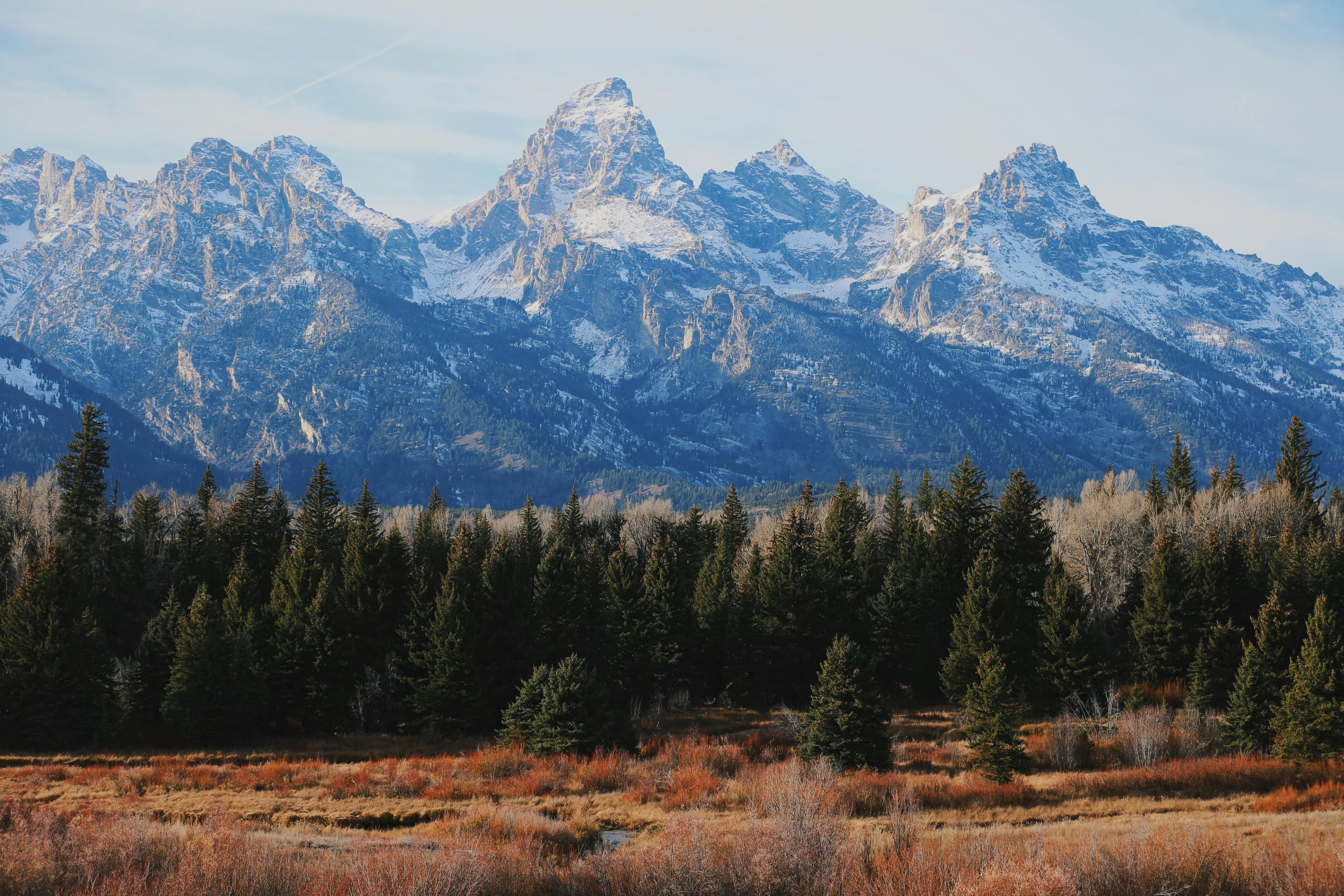 Wyoming nursing license renewal requirements guide