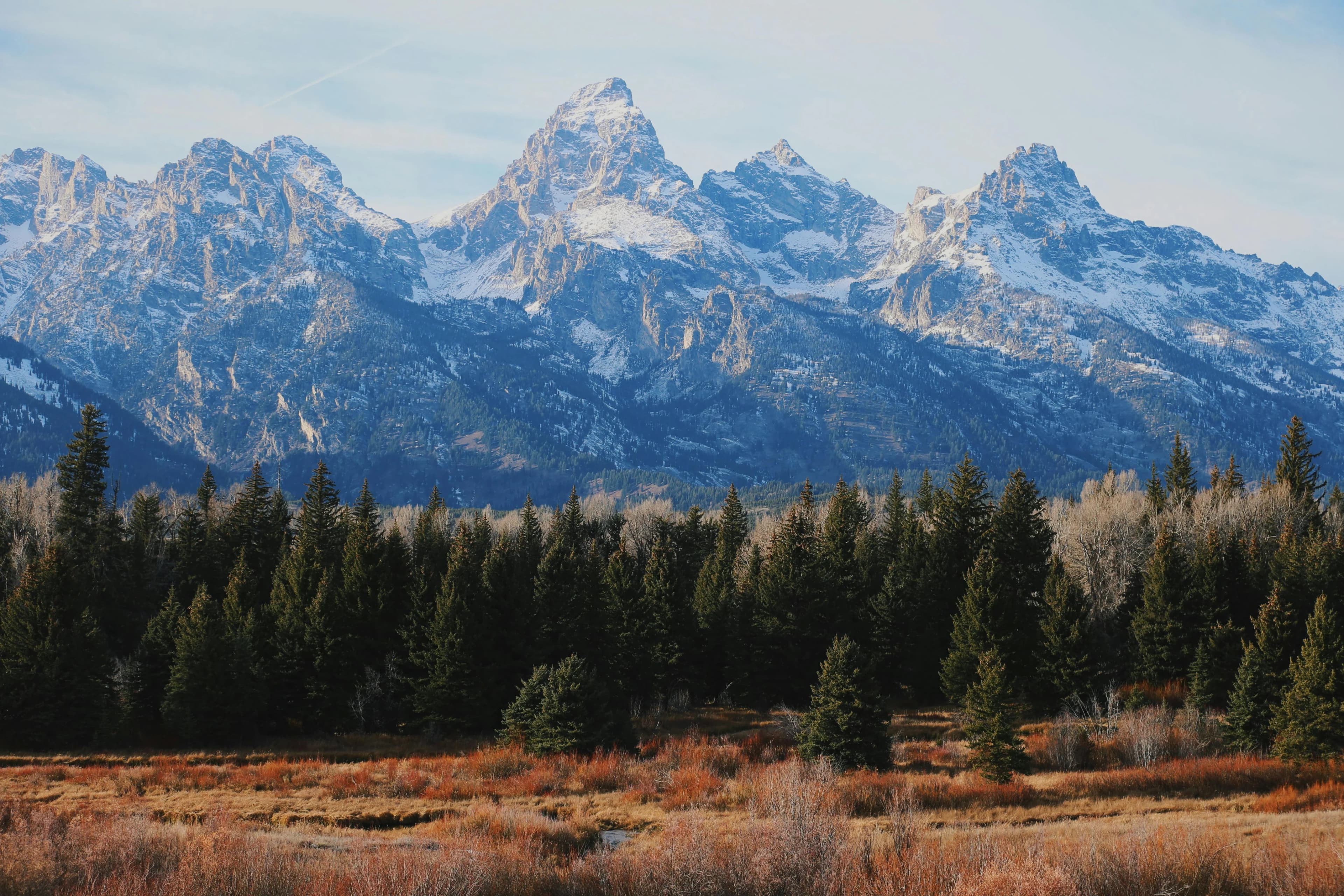 Wyoming nursing license renewal requirements guide